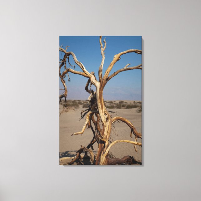 Toile Arbre mort (Recto)