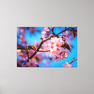 Toile Arbre Sakura en Fleurs Roses
