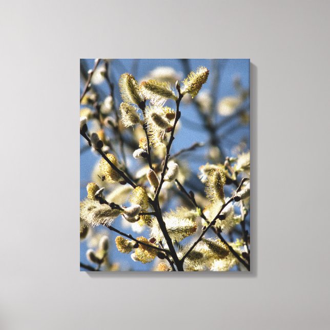 TOILE ARBRE SAUVAGE (Recto)