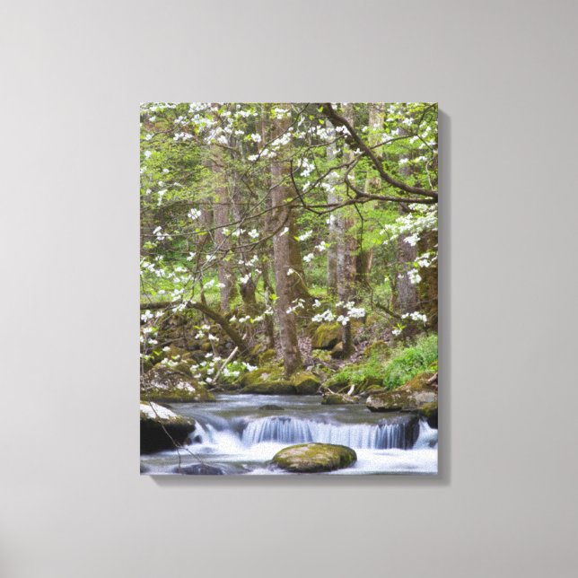 Toile Arbres à Dogwood | Great Smoky Mountain, Tennessee (Recto)