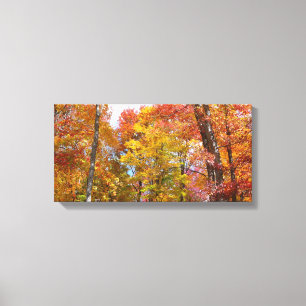 Toile Arbres automnes oranges et jaunes Photographie d'a