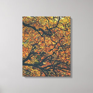 TOILE ARBRES D'AUTOMNE