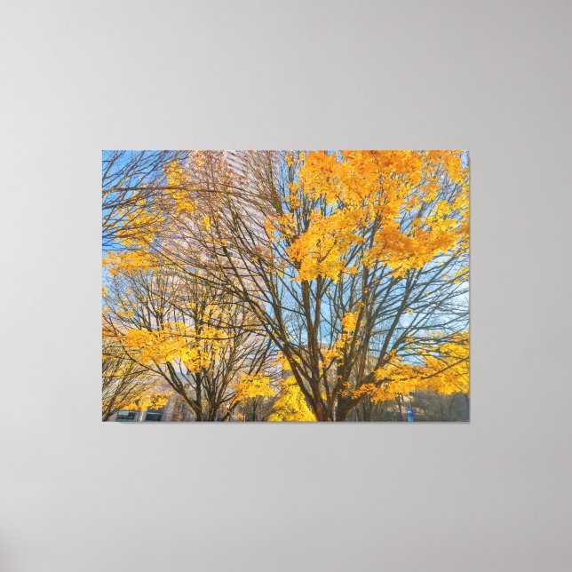 Toile Arbres d'automne dans le paysage urbain (Recto)