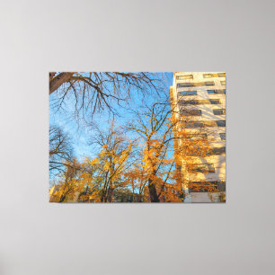 Toile Arbres d'automne et façade de bâtiment