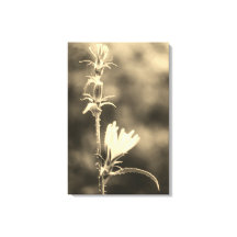 Arbres et fleurs romantiques – Fantaisie botanique