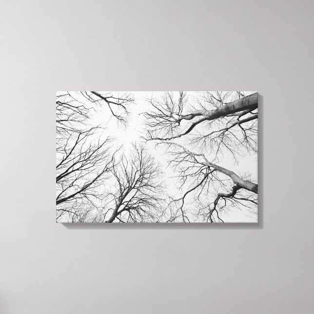 Toile Arbres sans feuilles dans le bois de Thiepval (Recto)
