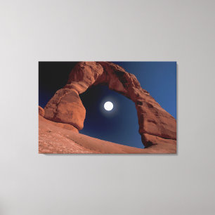Toile Arche délicate   Arches National Park Utah