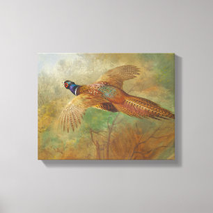 Toile Archibald Thorburn Flying faisan Oiseaux peintures