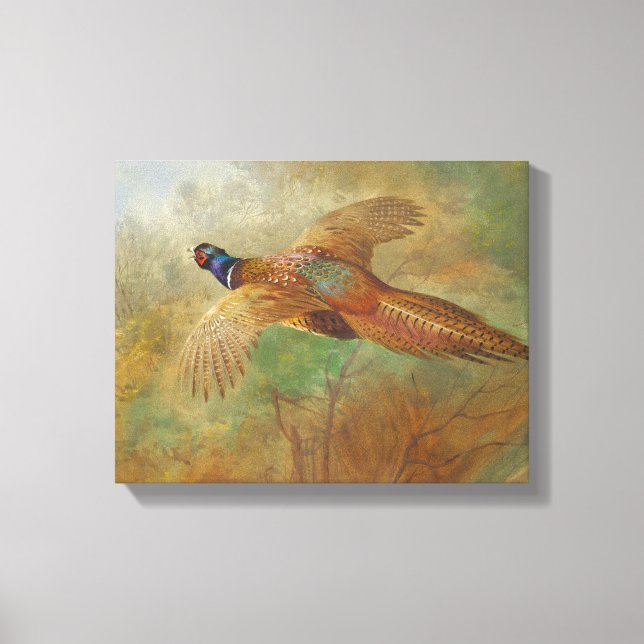 Toile Archibald Thorburn Flying faisan Oiseaux peintures (Recto)