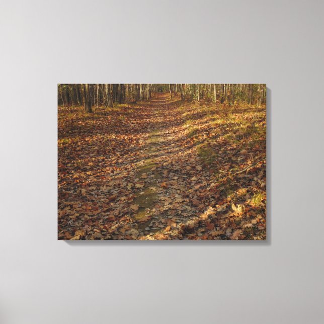 Toile Ardoise murale (Recto)