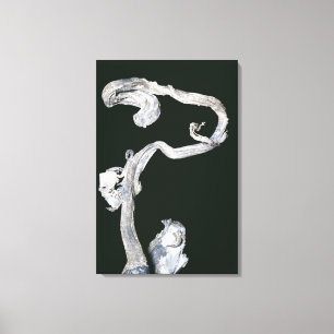 Toile Argent indigène