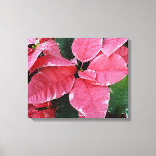 Toile Argent Star Marbre Poinsettias Pink Holiday Floral