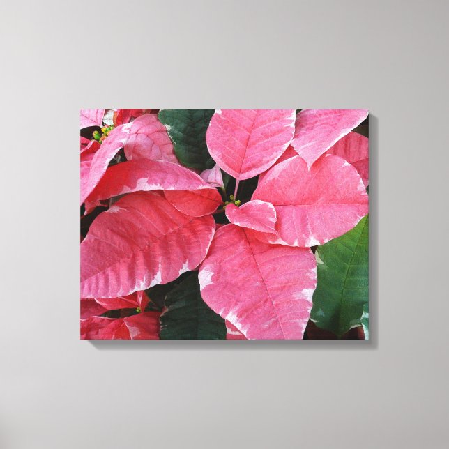 Toile Argent Star Marbre Poinsettias Pink Holiday Floral (Recto)