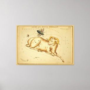Toile Aries et Musca - Signe Vintage de l'image du Zodia