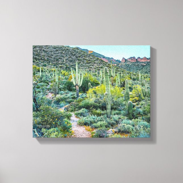 Toile Arizona Désert Randonnée Saguaro Cactus Forêt 14x1 (Recto)