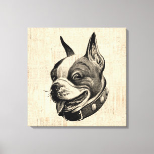 Toile Art antique de Boston Terrier Dog Cute Pet Dog