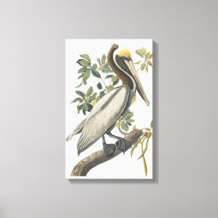 Toile Art Brown vintage de pélican d'Audubon