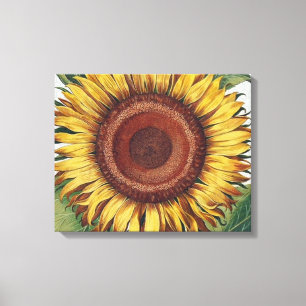 Toile Art de fleur de damas vintage tournesol