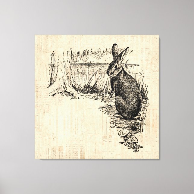Toile Art lapin vintage illustré (Recto)