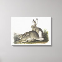 Art numérique gris et blanc mâle et femelle lièvre
