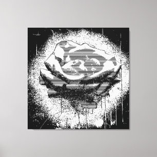 Toile Art Rose Noir Et Blanc