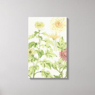 Toile Art vintage Nouveau, chrysanthèmes dans un jardin
