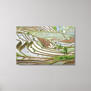 Toile Asie, Chine, Yunnan, Jinping. Personnalité autoch