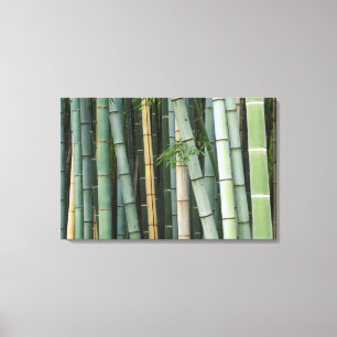 Toile Asie, Japon, Kyoto, Arashiyama, Sagano, Bamboo