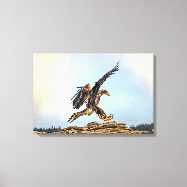 Toile Atterrissage de l'aigle à tête blanche au Canada (Recto)