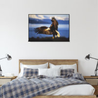 Atterrissage de l'aigle à tête plate