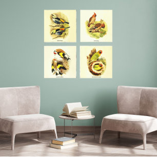 Toile Audubon Bird Gallery Wall Art Set 4