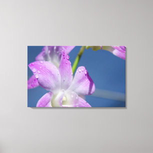 Toile Australie, Territoire du Nord, Darwin