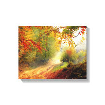Autumn Leaves and Trees Covering Dirt Road