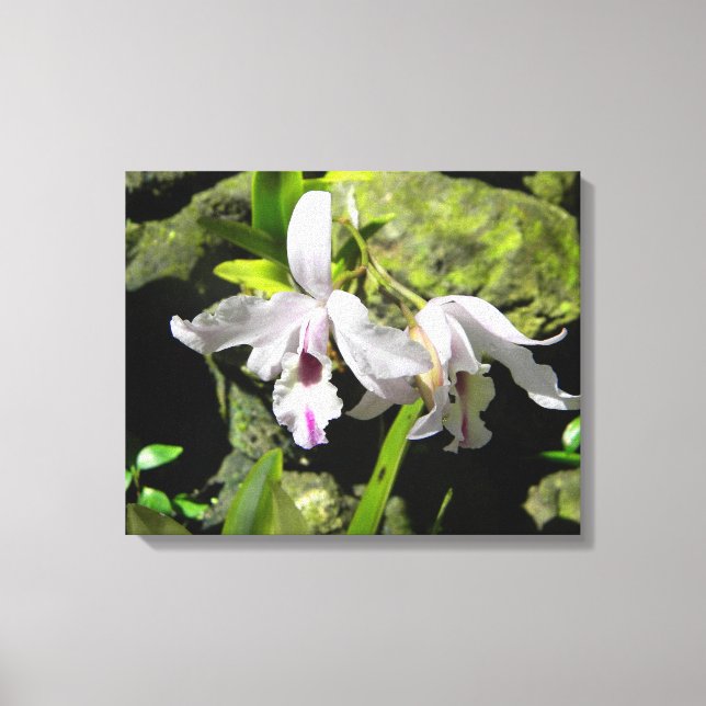 Toile aux orchidées blanches (Recto)