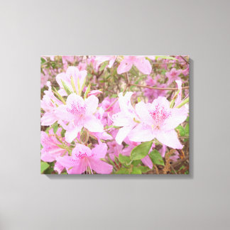 Toile Azalea Bloom Close-Up Photography