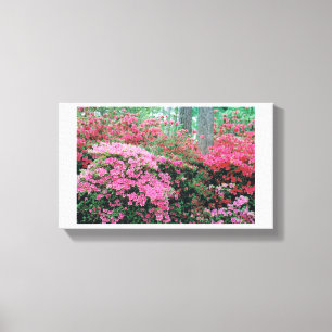 Toile Azalea Canvas