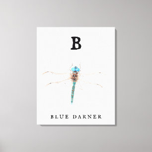 Toile "B" Bleu Darner