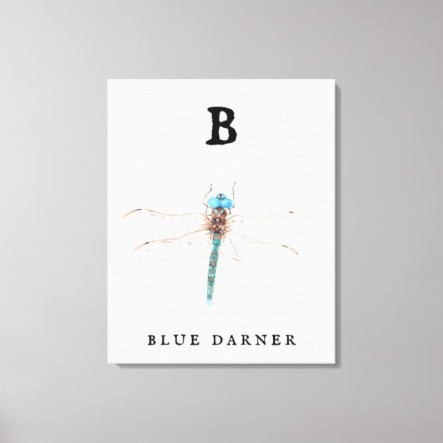 Toile "B" Bleu Darner (Recto)