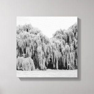 Toile B&W Willow Trees larvaires