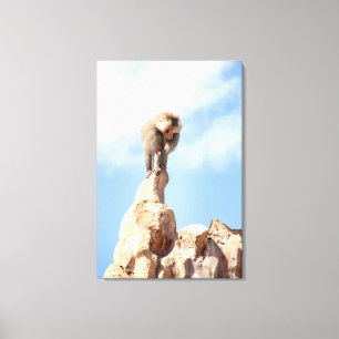 Toile Babouin singe au sommet d'une montagne