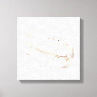 Toile Bai Shao Canvas