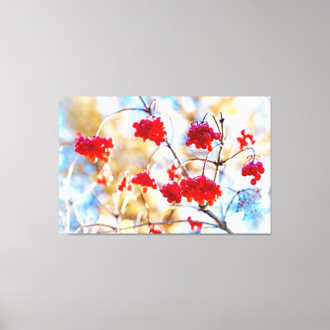 Toile Baies Arrowwood (Recto)