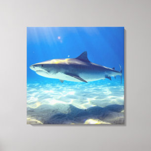 Toile Baignade de requins Eau bleu de l'océan