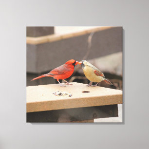 Toile Baiser les cardinaux
