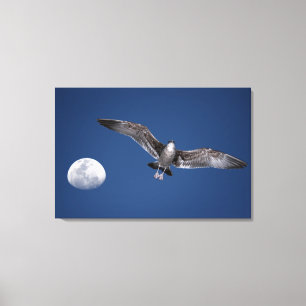 Toile BAJA MOON VOL 24x36