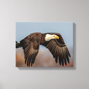 Toile Bald Eagle en vol