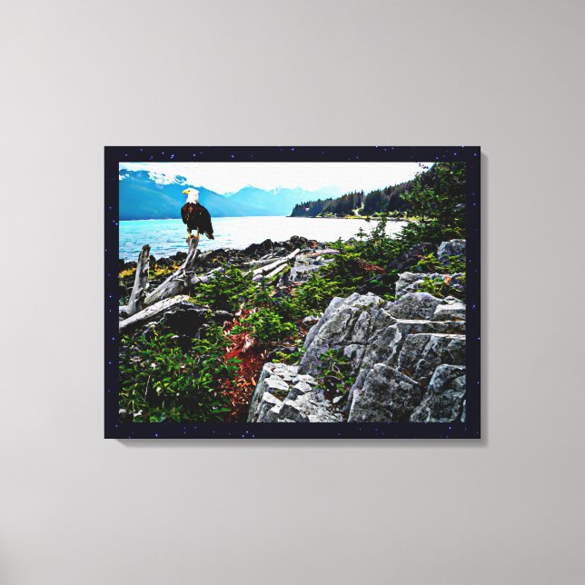 Toile Bald Eagle Sur La Côte De L'Alaska (Recto)