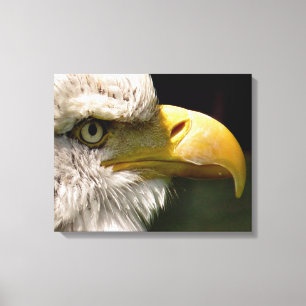 TOILE BALD EAGLES
