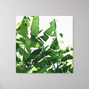 Toile Banane Feuille Green Monochromatic Peinture