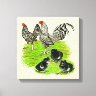 Toile Barred Bantam Family